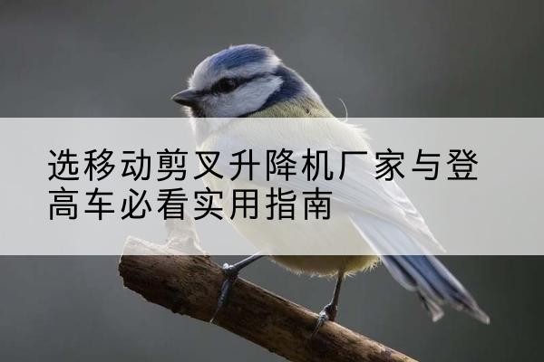 美姑电动升降机厂家-选移动剪叉升降机厂家与登高车必看实用指南