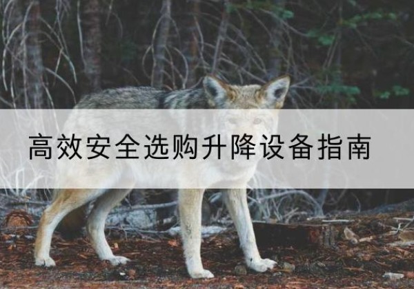美姑升降货梯厂家推荐-*安全选购升降设备指南