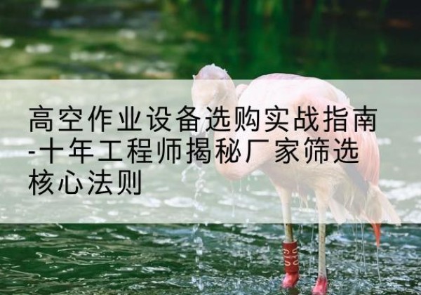美姑剪叉式升降机厂家-高空作业设备选购实战指南-十年工程师揭秘厂家筛选核心法则